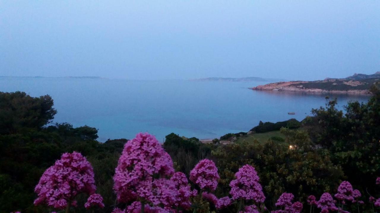 Appartamento Fronte Mare Santa Teresa Gallura Exterior foto